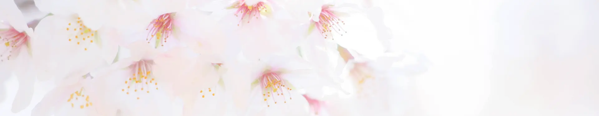 会社概要トップイメージ