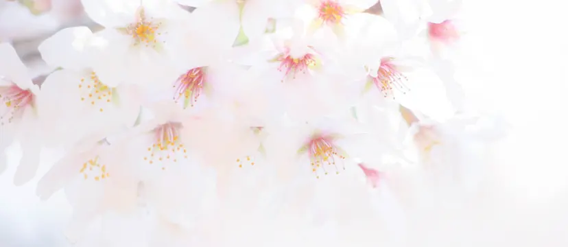 会社概要トップイメージ