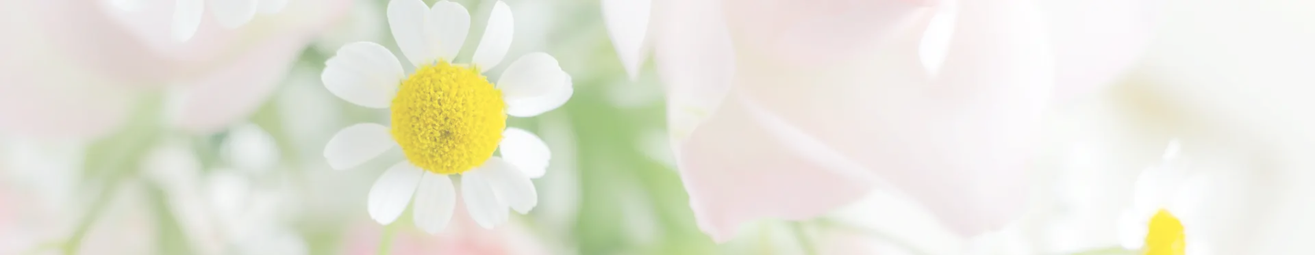 お問い合わせトップイメージ