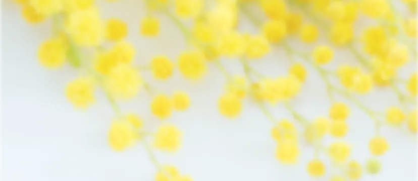 お知らせトップイメージ