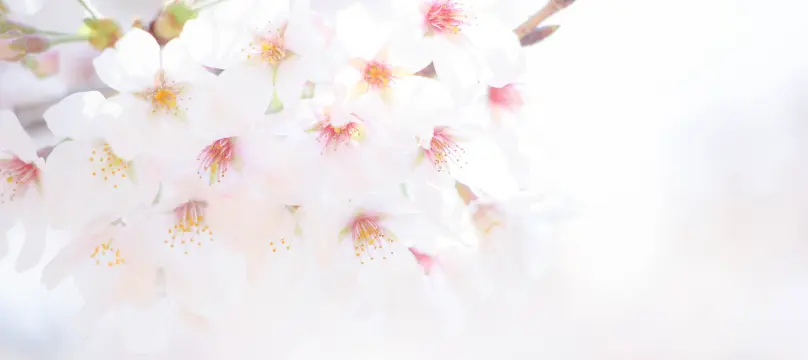 トップページ:会社概要画像