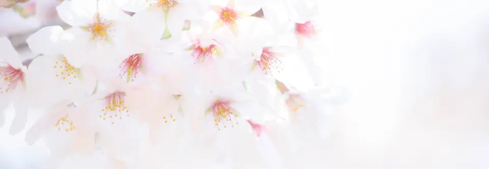 トップページ:会社概要画像